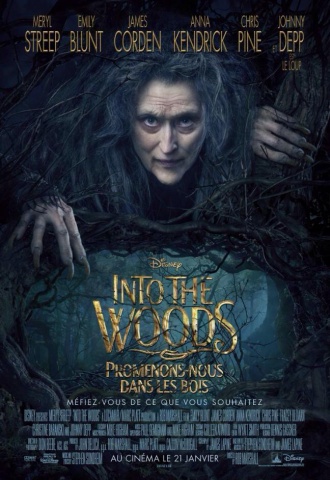 Into the Woods-Promenons-nous dans les bois - Affiche