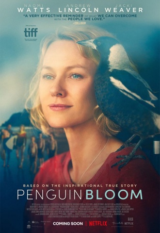 Penguin Bloom - Affiche