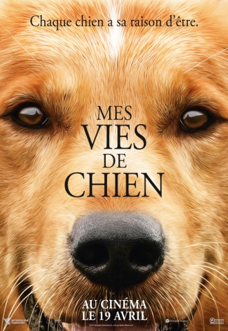 Mes vies de chien - Affiche