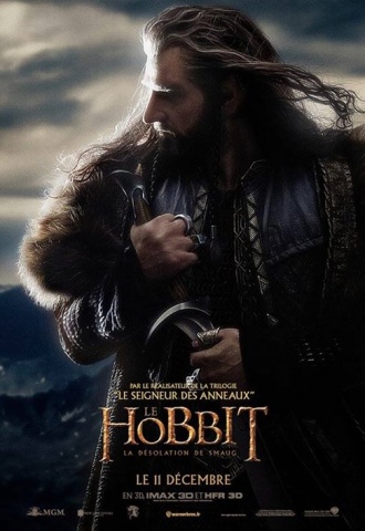 Le Hobbit : La Desolation de Smaug - Affiche