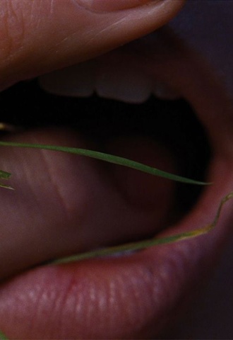 Les Hauts de Hurlevent - Affiche