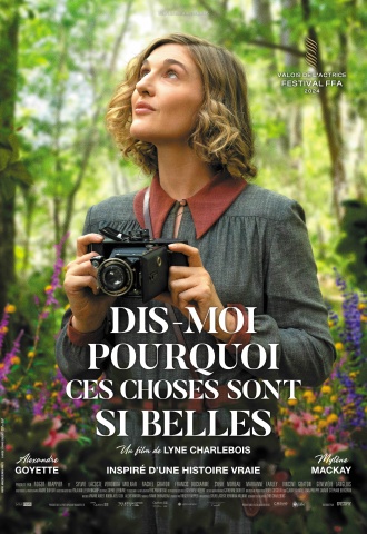 Dis-moi pourquoi ces choses sont si belles - Affiche