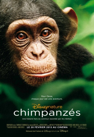 Chimpanzés