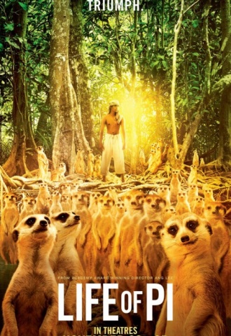 L'Odyssée de Pi - Affiche