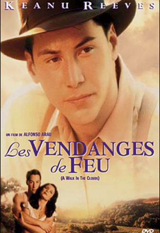 Les Vendanges de feu