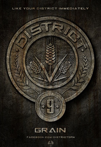 Hunger Games - Affiche