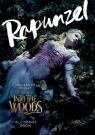 Into the Woods-Promenons-nous dans les bois - Affiche