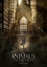 Les Animaux fantastiques - Affiche