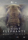 Ghost Elephants - Affiche Ghost Elephants - Affiche