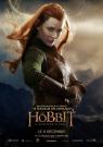 Le Hobbit : La Desolation de Smaug - Affiche