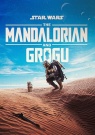 The Mandalorian and Grogu - Affiche The Mandalorian and Grogu - Affiche