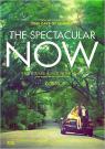 The Spectacular Now - Affiche The Spectacular Now - Affiche