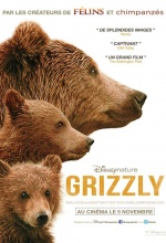 Grizzly - Affiche Grizzly - Affiche