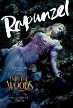 Into the Woods-Promenons-nous dans les bois - Affiche
