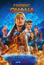 Ohana ou le trésor caché - Affiche