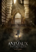 Les Animaux fantastiques - Affiche