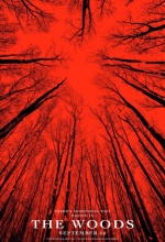 Blair Witch (2016) - Affiche Blair Witch (2016) - Affiche