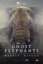 Ghost Elephants - Affiche Ghost Elephants - Affiche