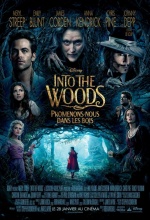 Into the Woods-Promenons-nous dans les bois - Affiche