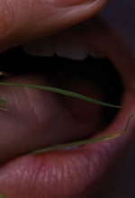 Les Hauts de Hurlevent - Affiche