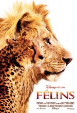 Félins