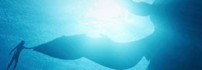 Ressortie pour AVATAR 2 - la voie de l'eau