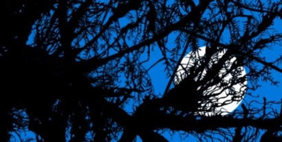 Le nouveau film de Juan Antonio Bayona