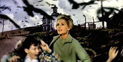 Un remake des Oiseaux