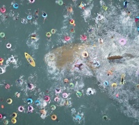 En eaux troubles	- Photo