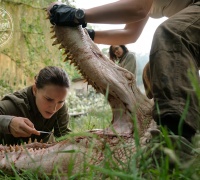Annihilation	- Photo