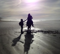 La Planète des Singes - Suprématie	- Photo