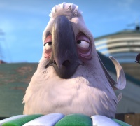 Rio 2	- Photo