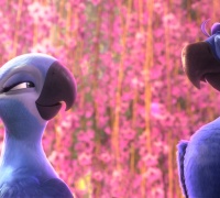 Rio 2	- Photo