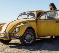 Bumblebee	- Photo