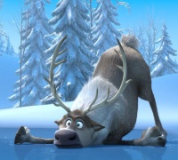 La reine des neiges	- Photo