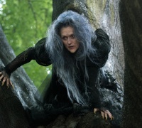 Into the Woods-Promenons-nous dans les bois	- Photo