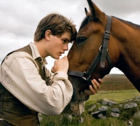 Cheval de Guerre	- Photo