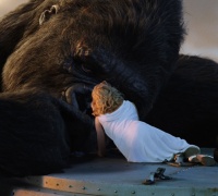 King Kong	- Photo