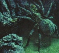 Le Seigneur des Anneaux : Le retour du Roi