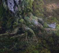 Percy Jackson : La mer des monstres	- Photo