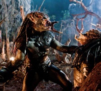 Predators	- Photo