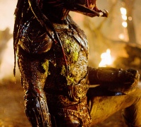 Predators	- Photo