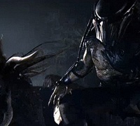 Predators	- Photo