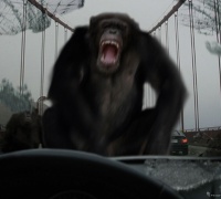 La Planète des Singes : Les Origines	- Photo