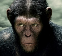 La Planète des Singes : Les Origines	- Photo